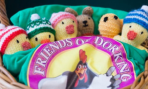 photo of a close-up of woollen Chicks to promote the Friends of Dorking
